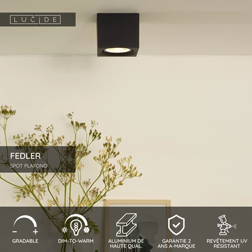 Lucide FEDLER - Spot plafond - LED Dim to warm - GU10 (ES111) - 1x12W 2200K/3000K - Noir - USP